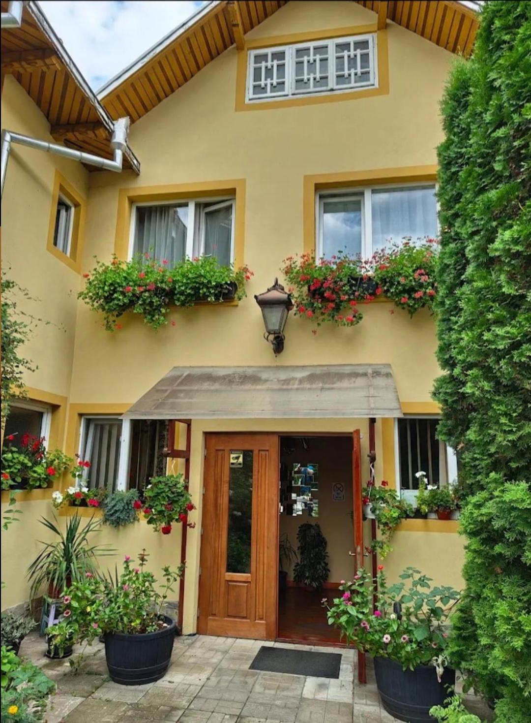 B&B Dumbrava Gura Humorului Dış mekan fotoğraf